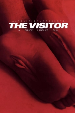 The Visitor